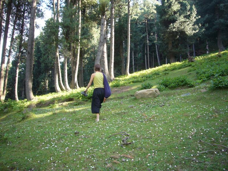 Travel - India - Kashmir - Pahalgam - Around Bentes Lodge